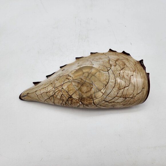 Krosnos Polish Art Glass Shell - Picture 3 of 3